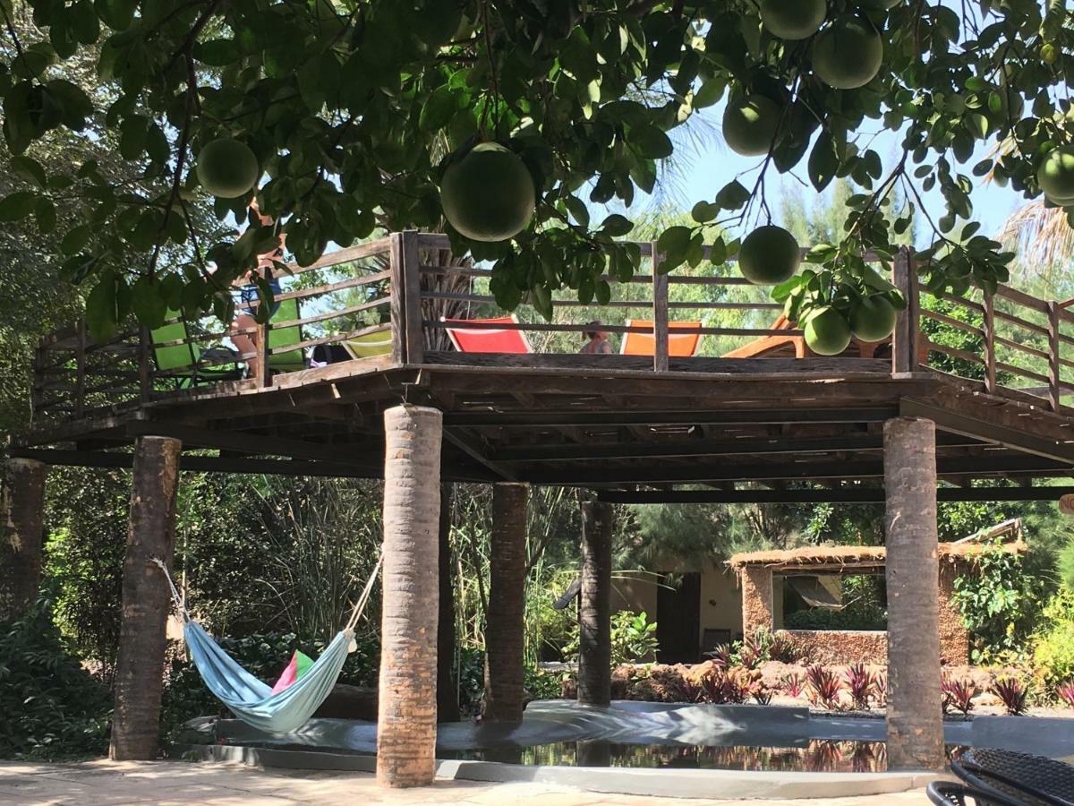 Footsteps Eco-Lodge Gunjur Bagian luar foto